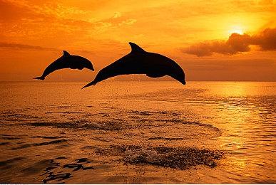 潜行RPG游戏《叛离之盗》Steam页面 明年发售